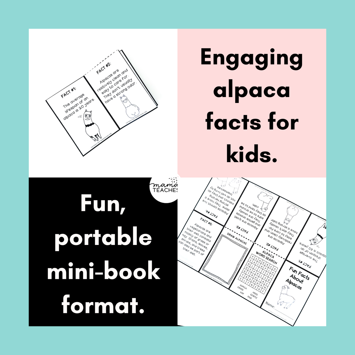 Fun Facts About Alpacas Mini Book