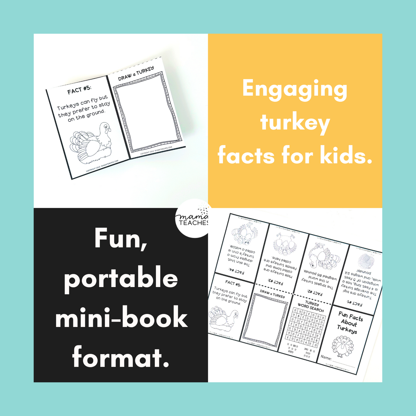 Fun Facts About Turkeys Mini-Book