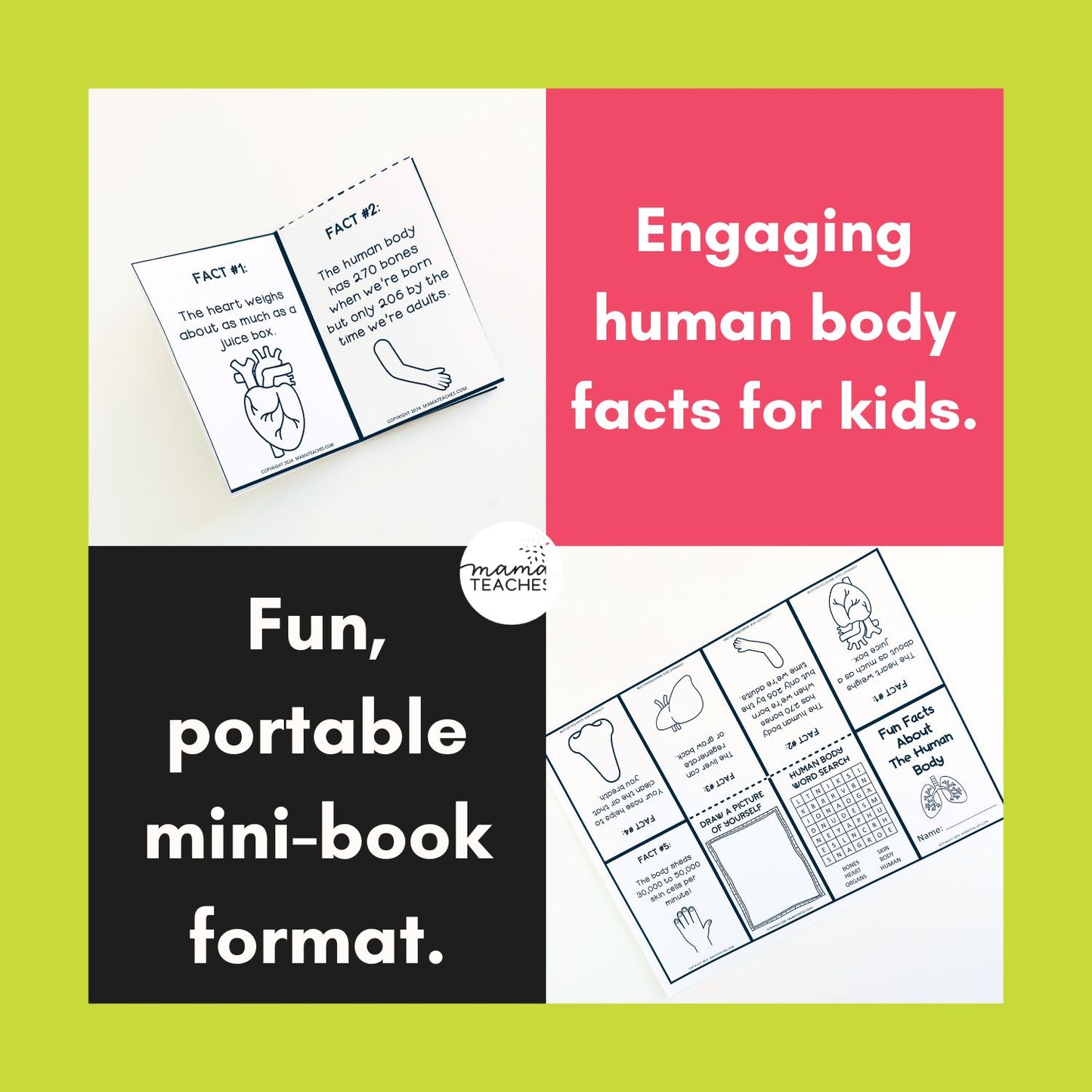 Fun Facts About The Human Body Mini Book