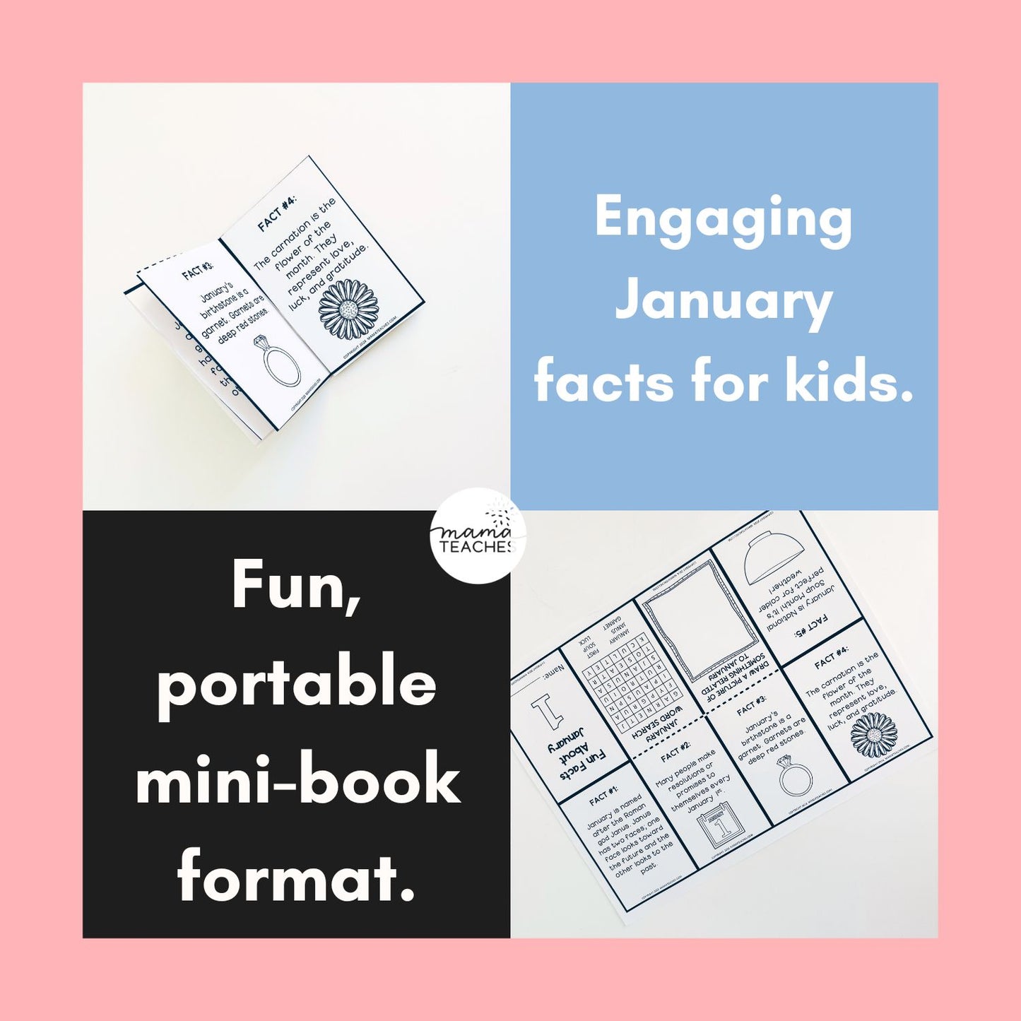 Fun Facts About January Mini Book