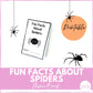 Fun Facts About Spiders Mini-Book