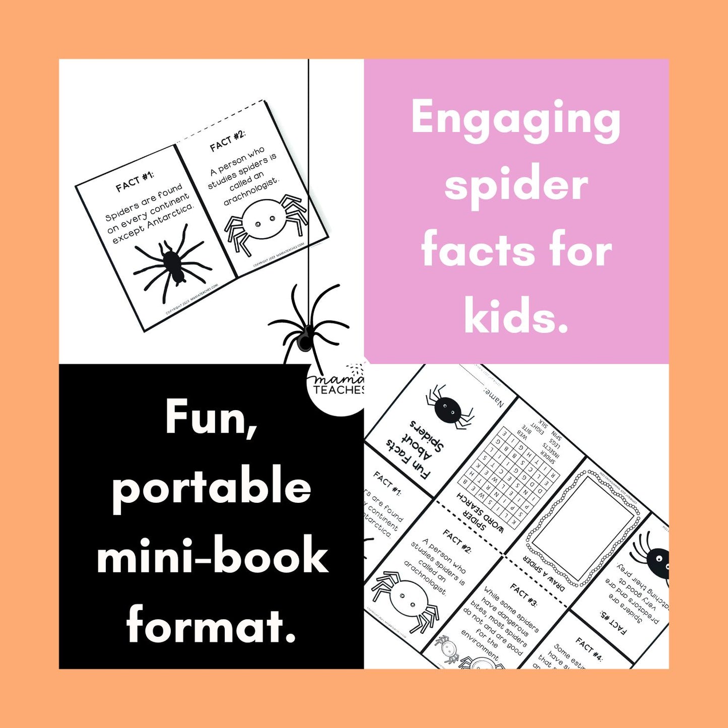 Fun Facts About Spiders Mini-Book