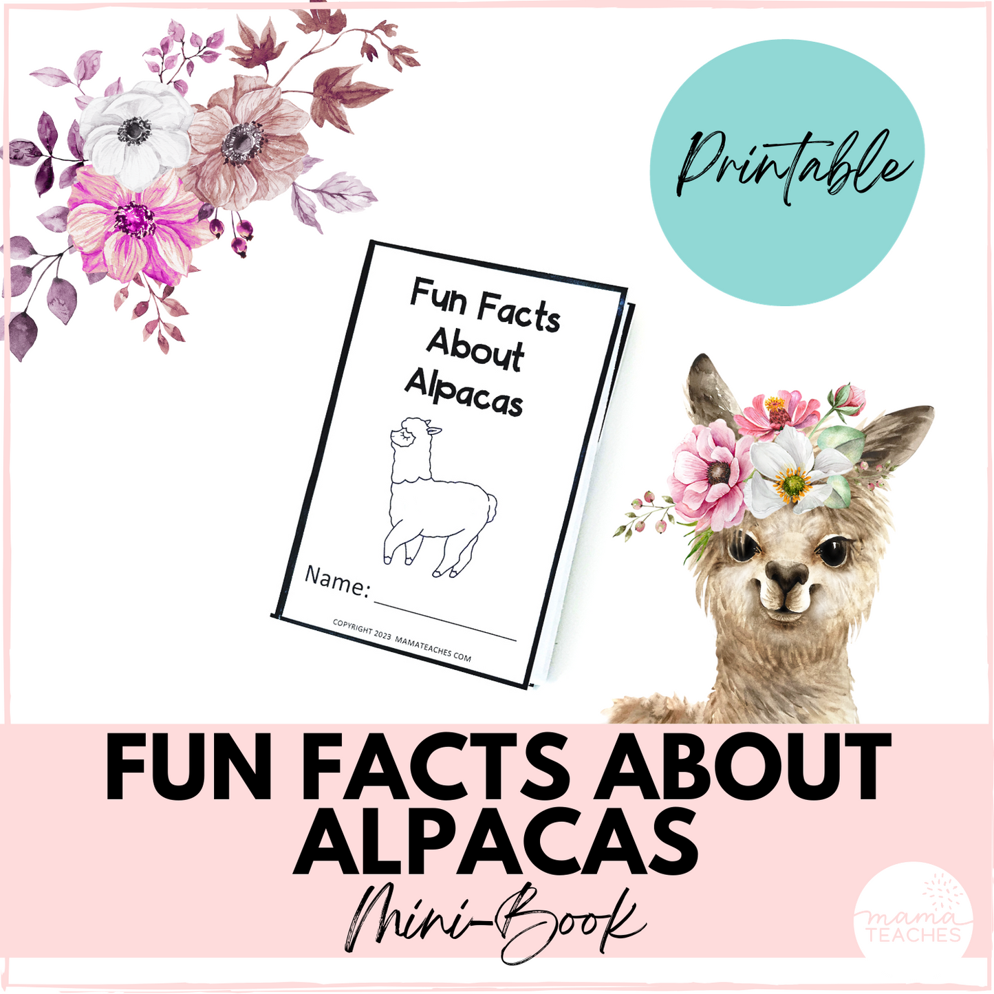 Fun Facts About Alpacas Mini Book