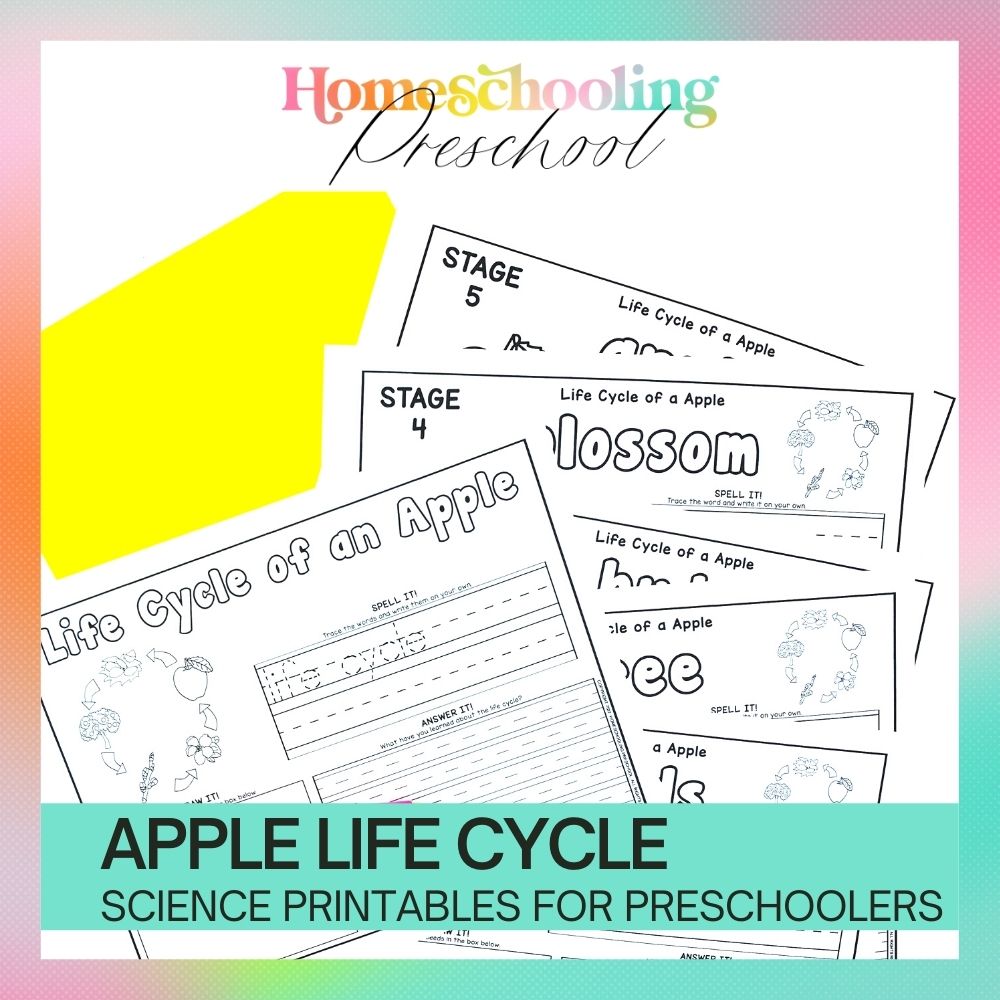 Apple Life Cycle Activity Sheets