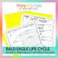 Bald Eagle Life Cycle Activity Sheets