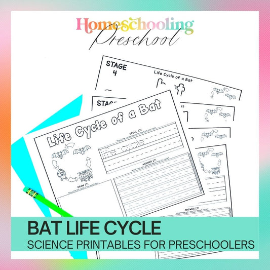 Bat Life Cycle Activity Sheets
