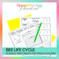 Bee Life Cycle Activity Sheets