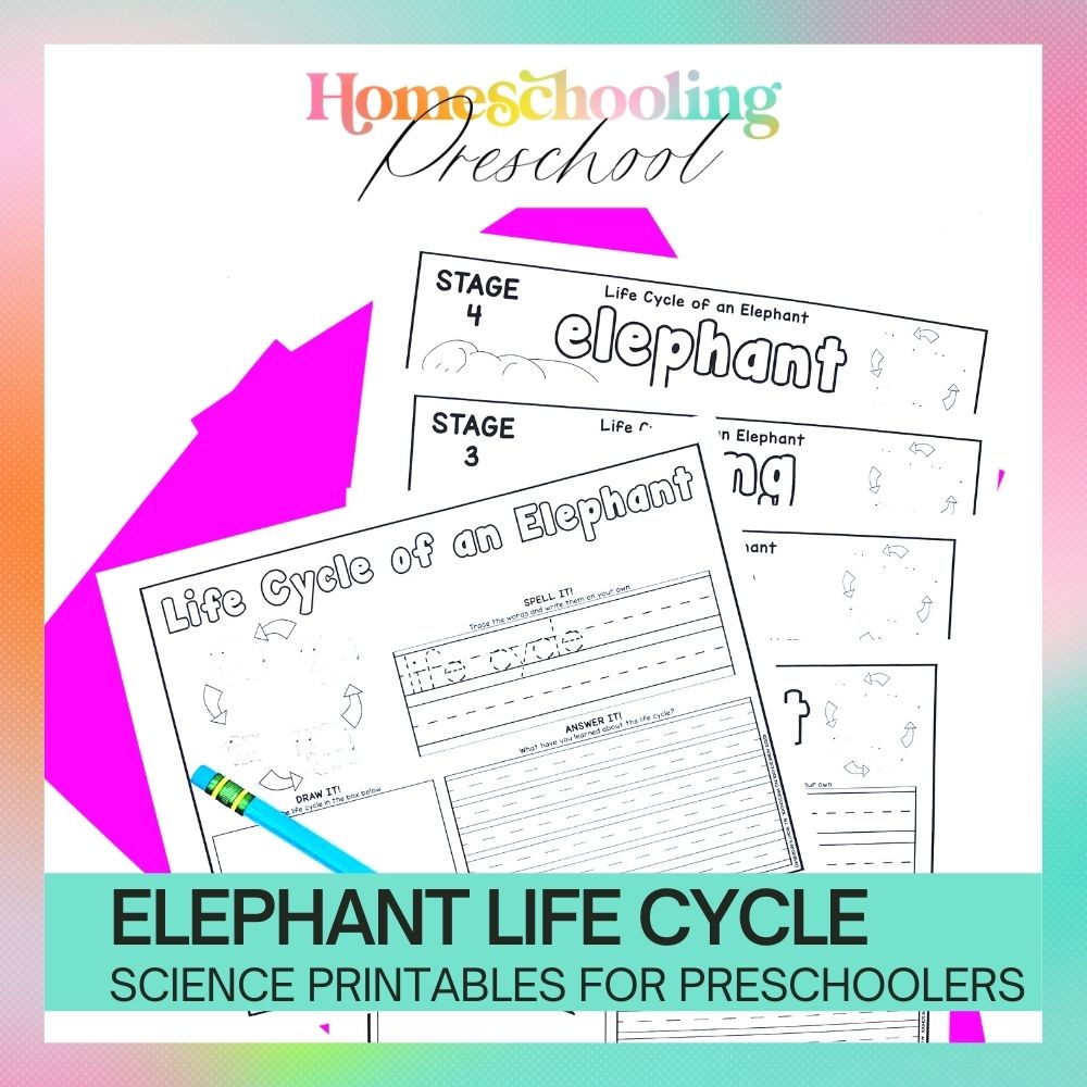 Elephant Life Cycle Activity Sheets