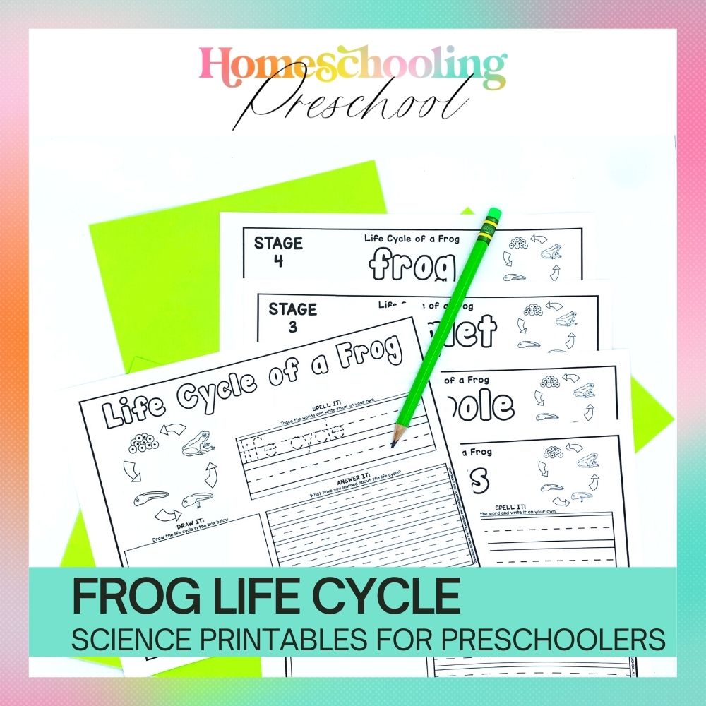 Frog Life Cycle Activity Sheets