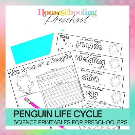 Penguin Life Cycle Activity Sheets