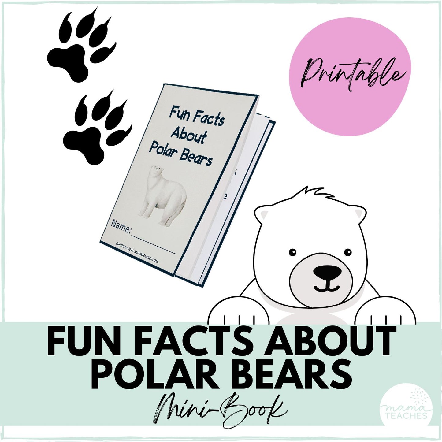 Fun Facts About Polar Bears Mini Book