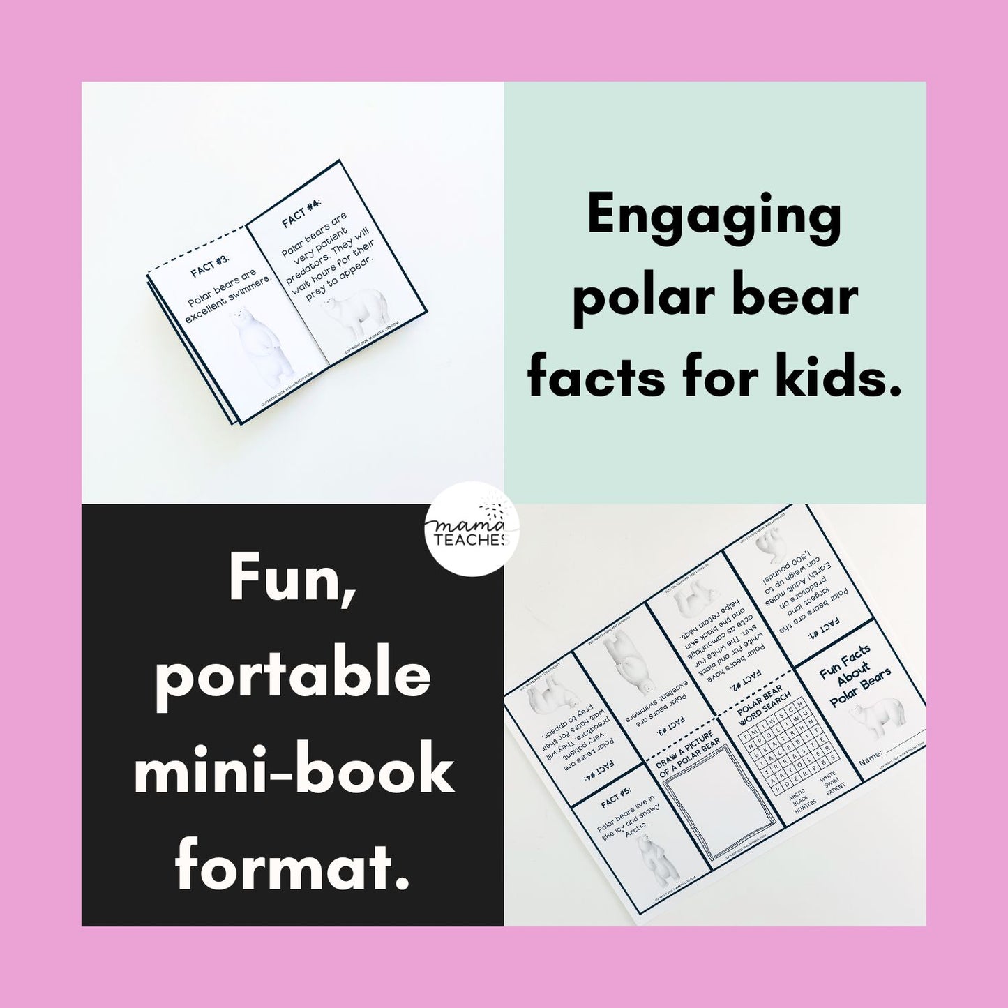 Fun Facts About Polar Bears Mini Book