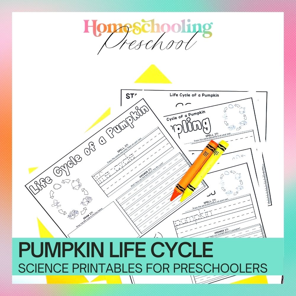 Pumpkin Life Cycle Activity Sheets