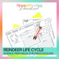 Reindeer Life Cycle Activity Sheets
