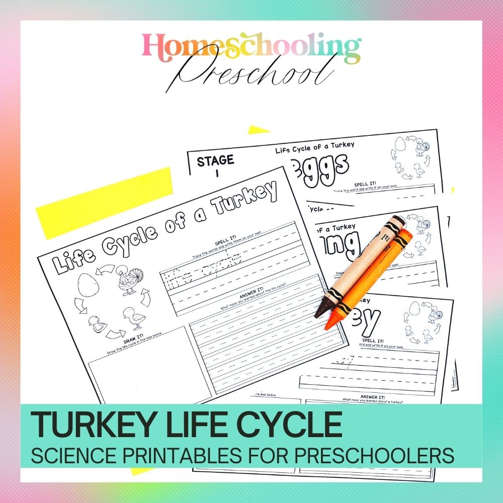 Turkey Life Cycle Activity Sheets