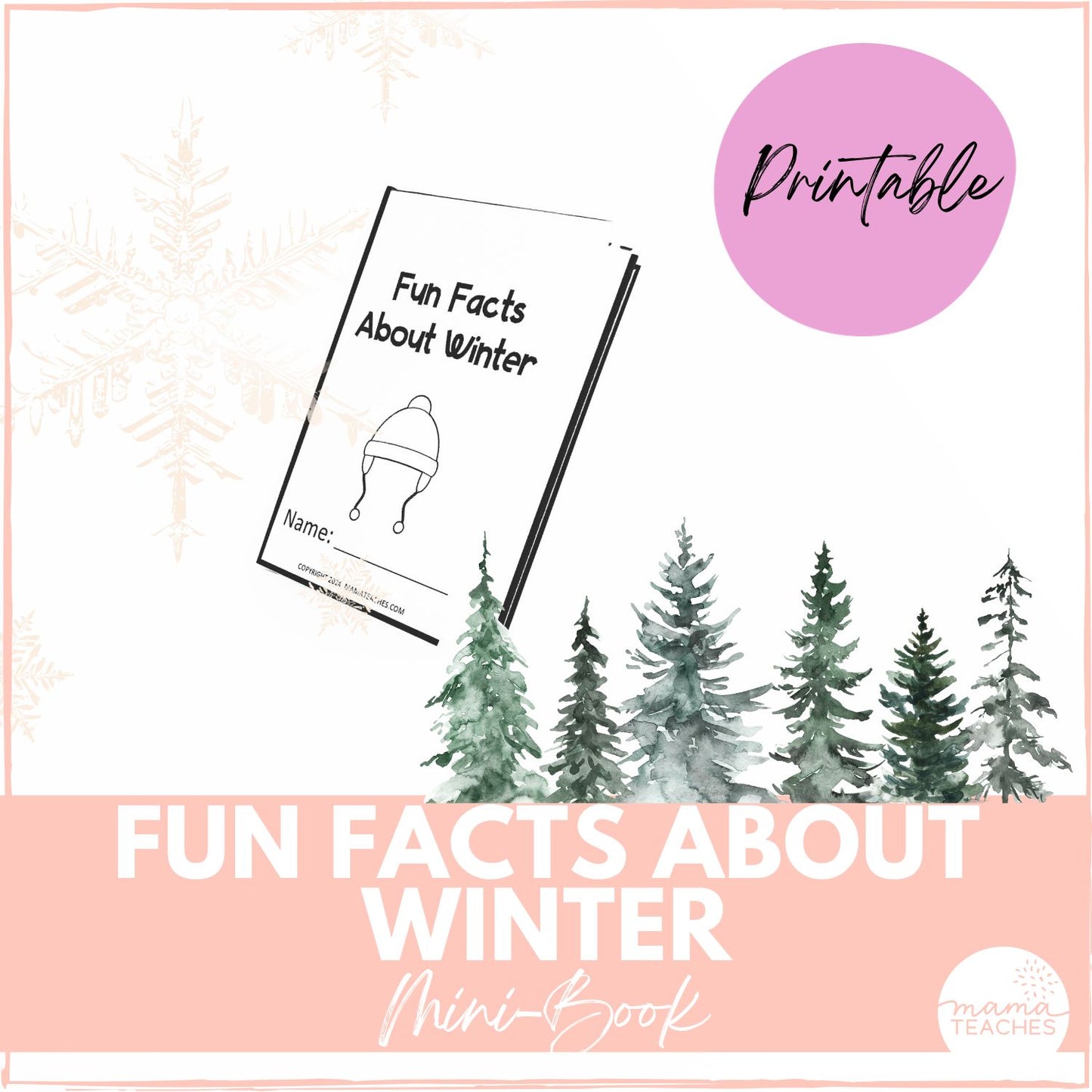 Fun Facts About Winter Mini Book