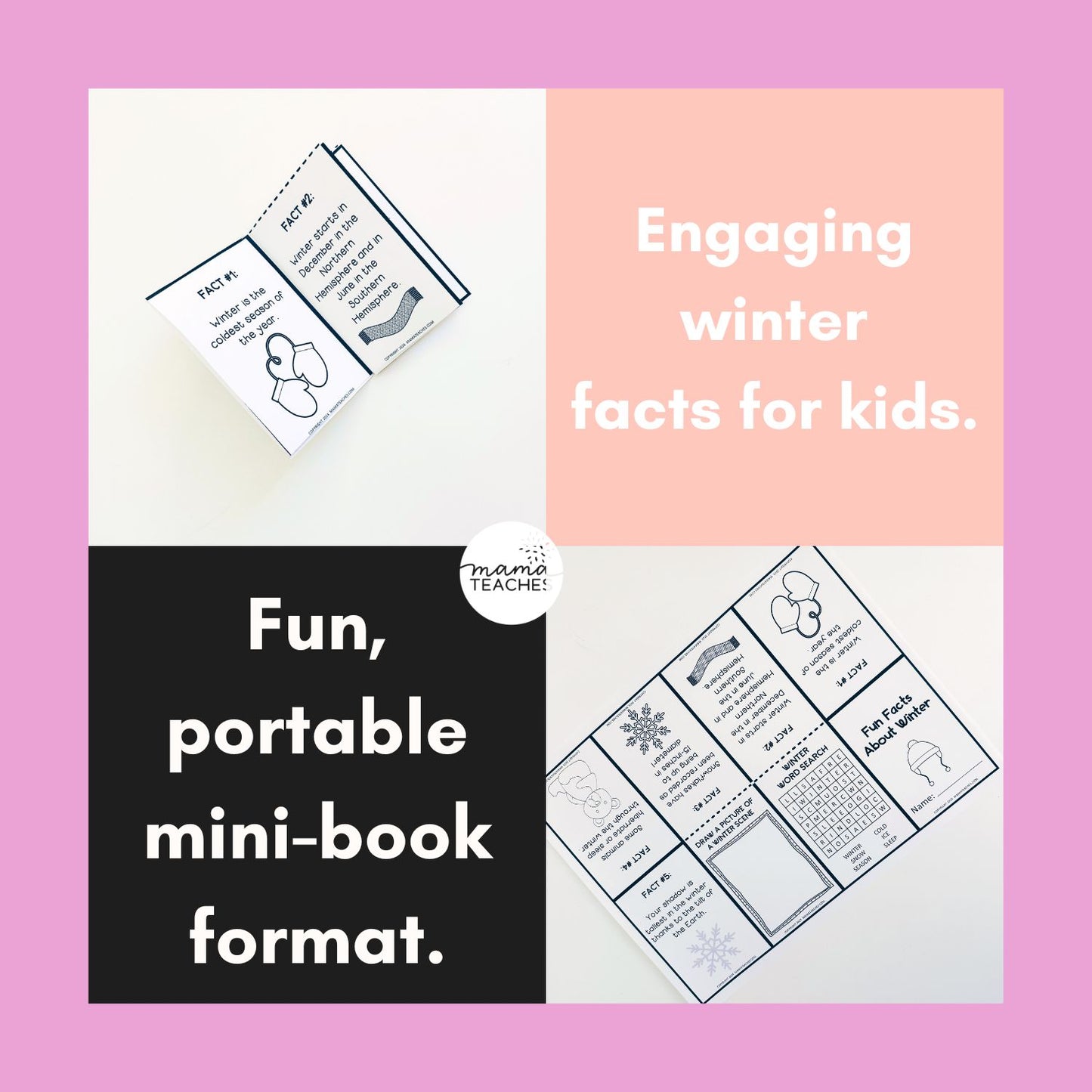 Fun Facts About Winter Mini Book